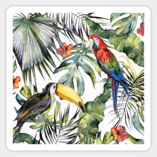 TROPICAL JUNGLE B Magnet